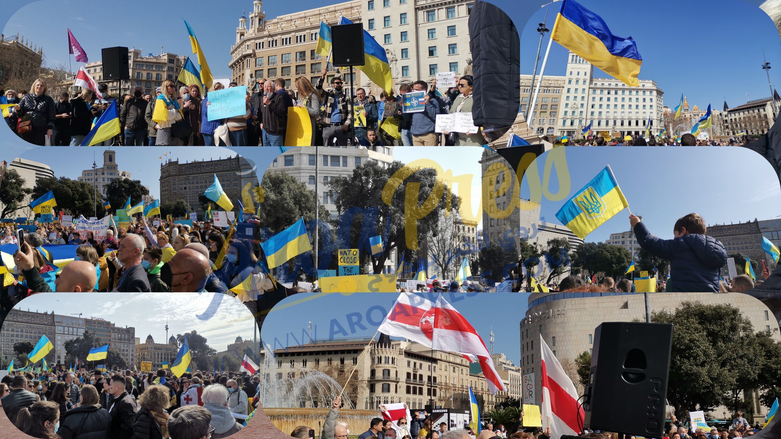 بالفيديو :وقفة احتجاجية في ساحة كطالونيا للجالية الأوكرانية