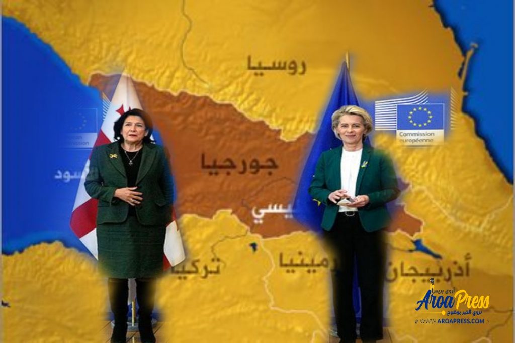 جورجيا تقدمت بطلب الحصول على عضوية فورية في الاتحاد الأوروبي.