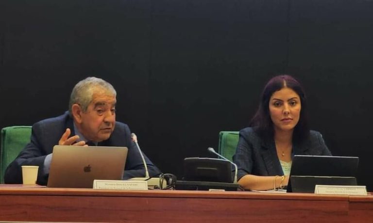 إيمان لماوي تشرف على تنظيم ندوة حول “الدفاع عن حقوق الانسان ما وراء البحار”