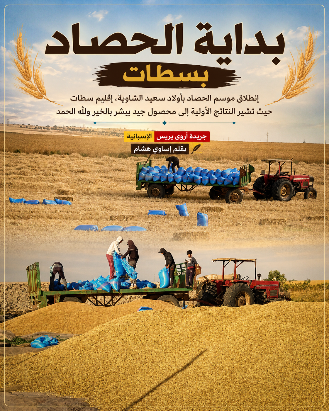 بداية موسم الحصاد بأولاد سعيد الشاوية.. موسم يبشر بالخير 🌾