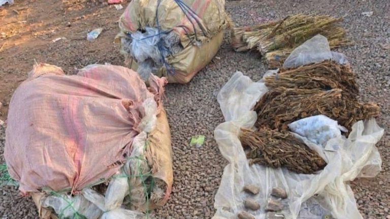 غابة «33» بالمنصورية إقليم بنسليمان تحت نفوذ العصابات الاجرامية