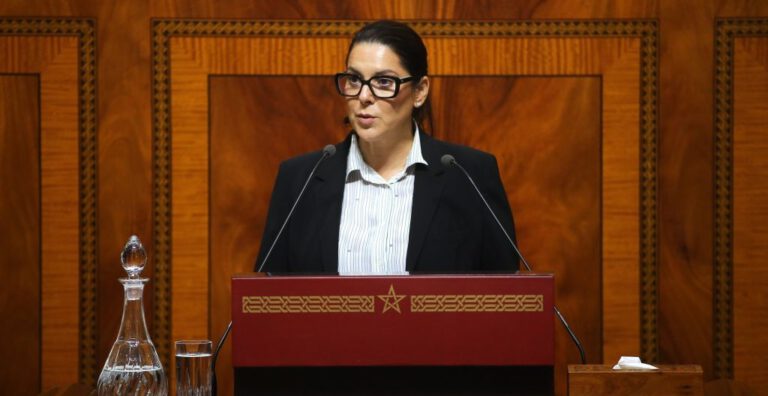 المنصوري تعرض برنامج الحكومة أمام البرلمان.. التشغيل والقدرة الشرائية والصحراء في صدارة رهانات الولاية الجديدة